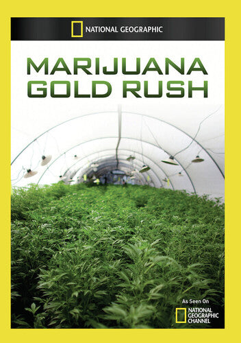 Marijuana Gold Rush