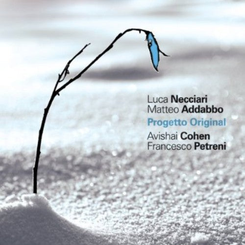 Necciari/ Addabbo/ Cohen/ Petre - Progetto Original