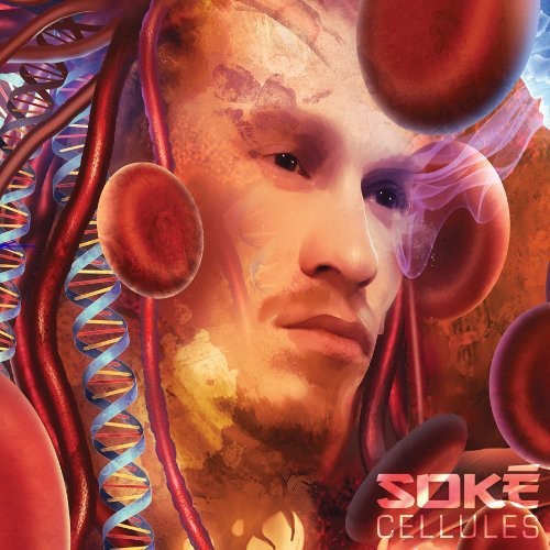 Soke - Cellules