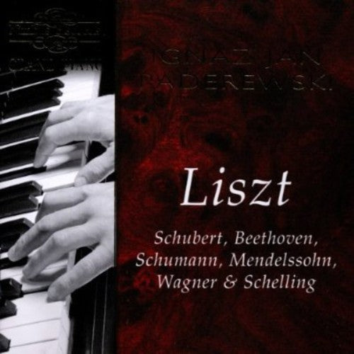 Paderewski - Ignaz Jan Paderewski Performs Liszt
