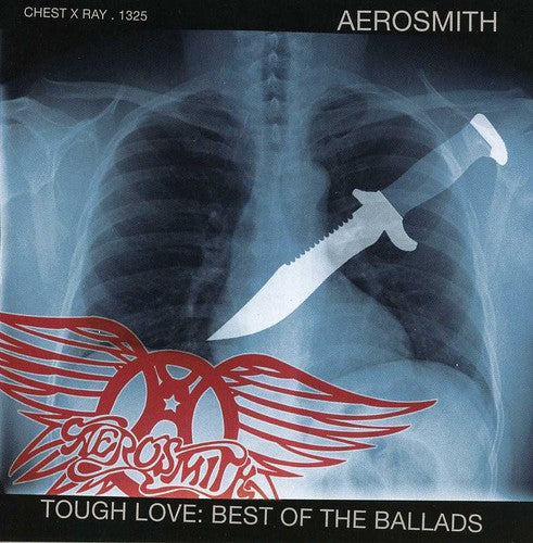 Aerosmith - Icon