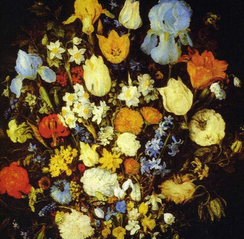 Young Moon - Navigated Like the Swan