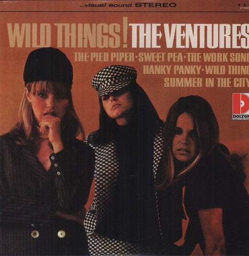 The Ventures - Wild Things