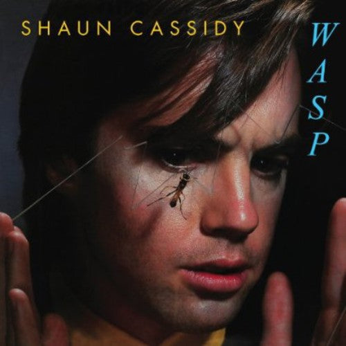 Shaun Cassidy - Wasp