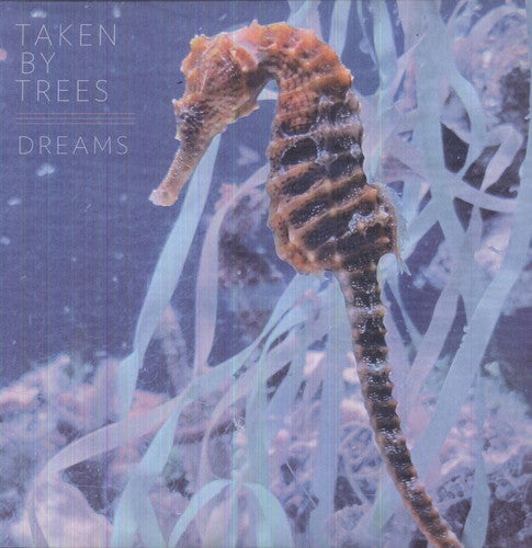 Taken by Trees - Dreams