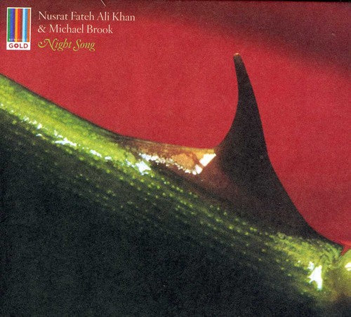 Nusrat Khan Fateh Ali/ Michael Brook - Night Song