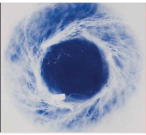 Kim Gordon - Yokokimthurston