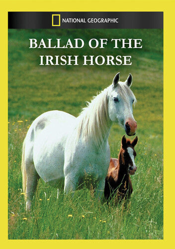 Ballad of the Irish Horse