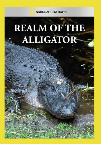 Realm of the Alligator