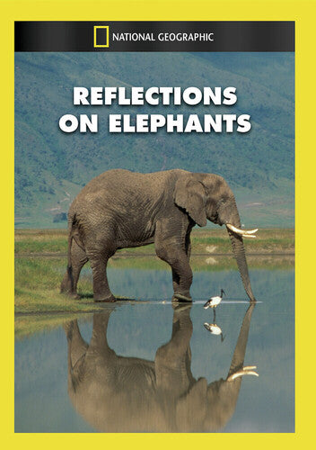 Reflections on Elephants