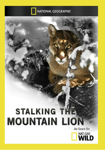 Stalking the Mountain Lion