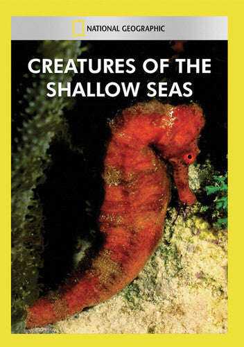 Creatures of the Shallow Seas