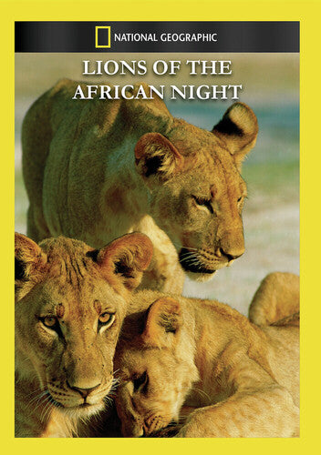 Lions of the African Night