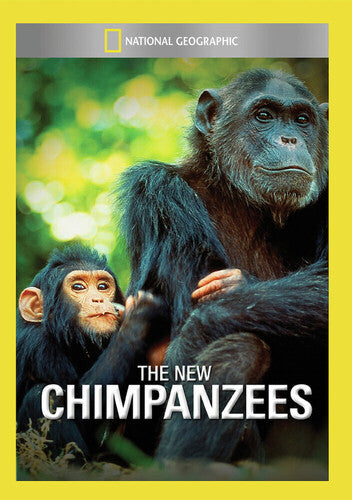 New Chimpanzees