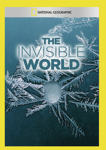Invisible World