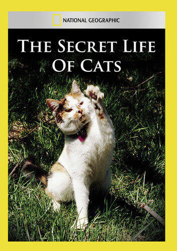 Secret Life of Cats