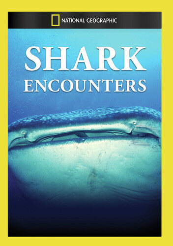 Shark Encounters