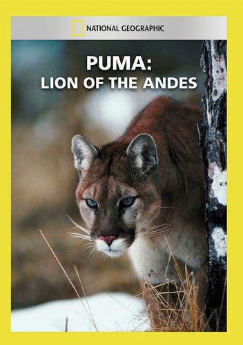 Puma: Lion of the Andes