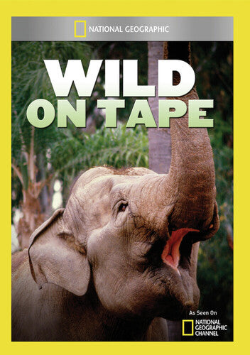 Wild on Tape