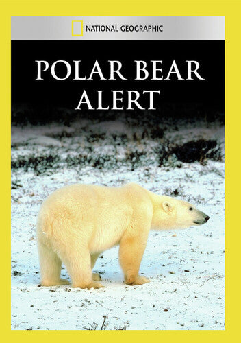 Polar Bear Alert
