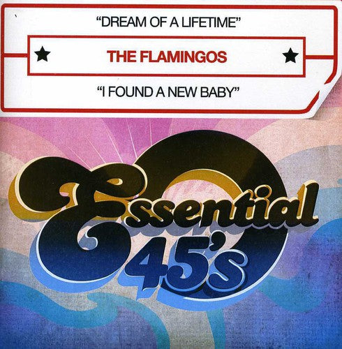 The Flamingos - Dream of a Lifetime