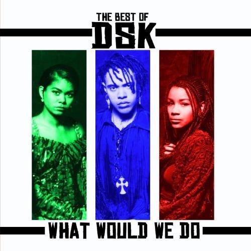 Dsk - Best of: What Would We Do