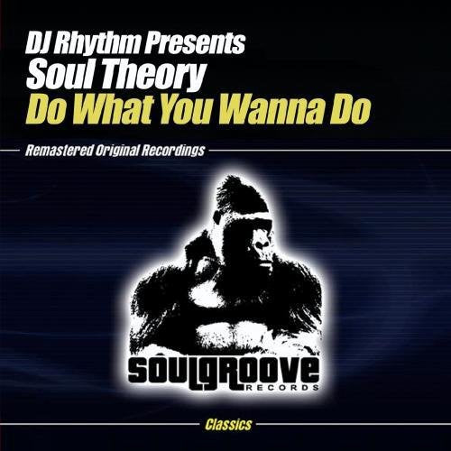 DJ Rhythm Presents Soul Theory - Do What You Wanna Do