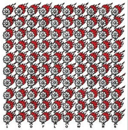 100 Flowers - 100 Flowers