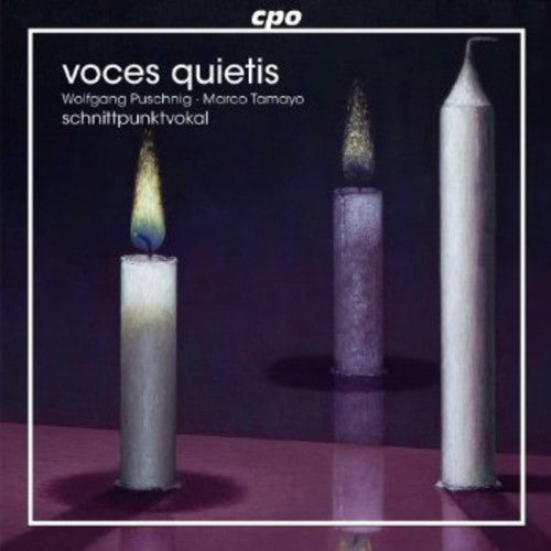 Schnittpunktvokal - Voces Quietis