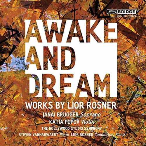 Rosner/ Brugger/ Rosner - Awake & Dream