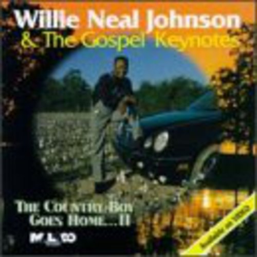 Willie Neal Johnson - Country Boy Goes Home 2