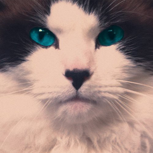 Exquisites - Exquisites