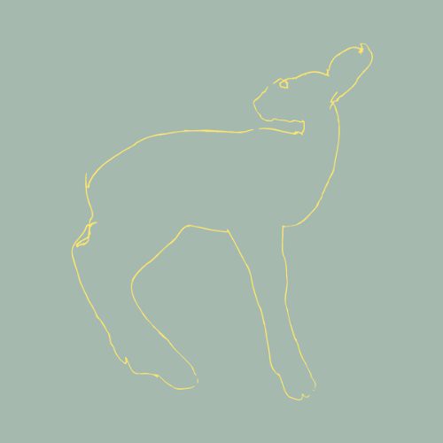 Songs: Ohia - Hecla Griper