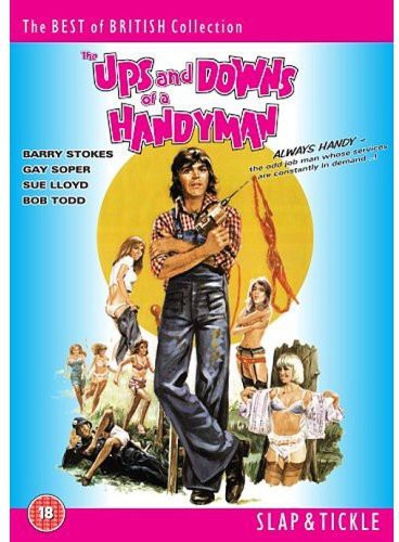 The Ups and Downs of a Handyman