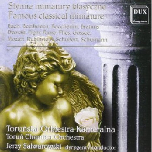Bach/ Schumann/ Brahms/ Schubert/ Salwarowski - Famous Classical Miniatures