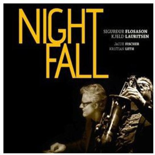 Sigurdur Flosason - Night Fall