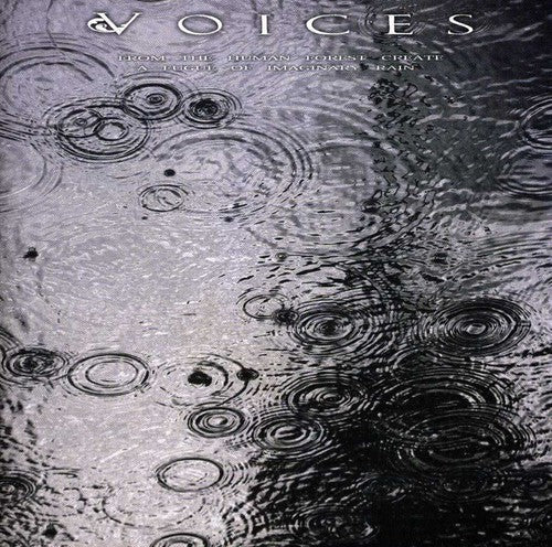Voices - From The Human Forest Create A Fugue Of Imaginary Rain