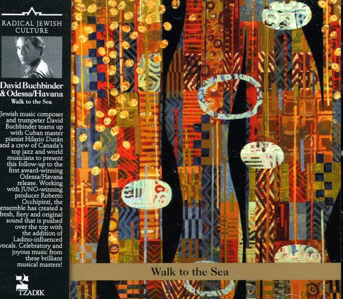 David Buchbinder - Walk to the Sea