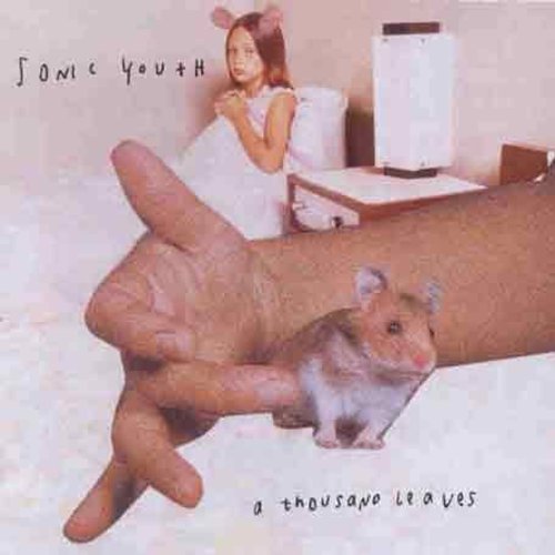 Sonic Youth - Thousand Leaves