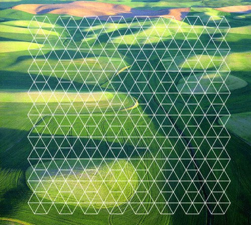 Henry Plotnick - Fields