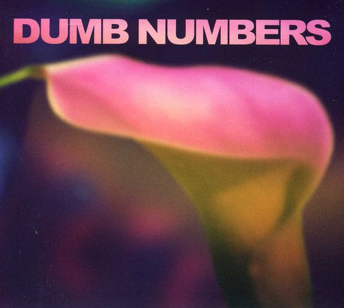 Dumb Numbers - Dumb Numbers
