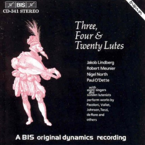 Three Four & Twenty Lutes/ Various - Three Four & Twenty Lutes / Various