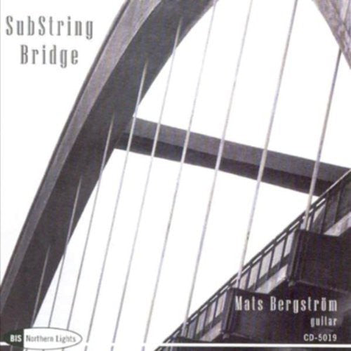 Mat Bergstrom - Substr Bridge