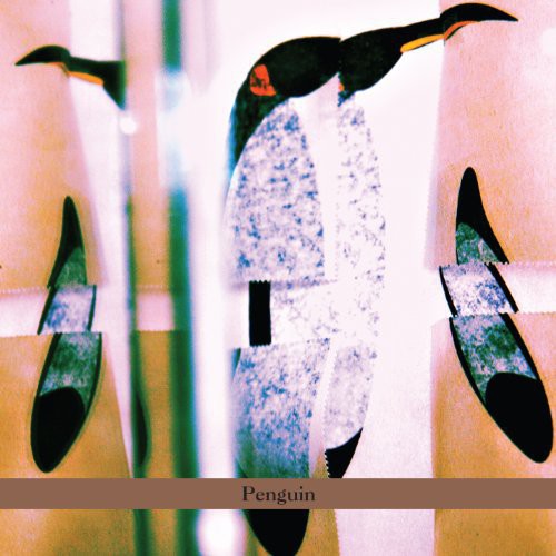 Zebrina - Hamidbar Medaber