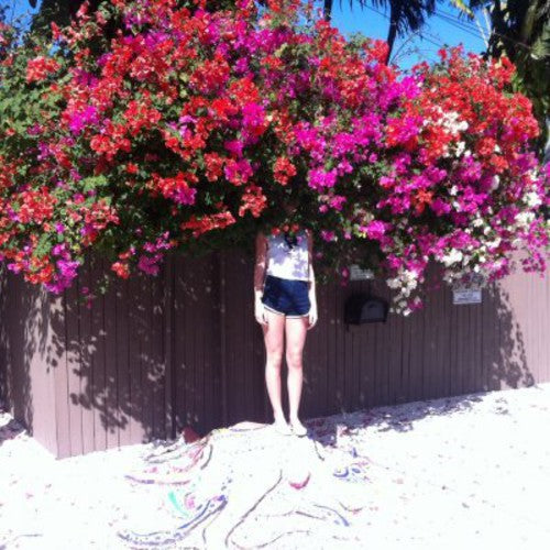 Elf Power - Sunlight on the Moon