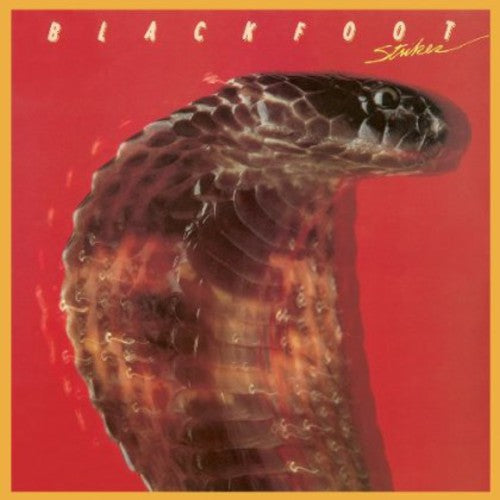 Blackfoot - Strikes