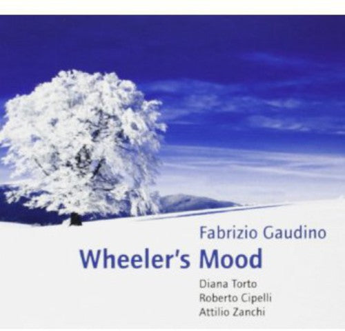 Fabrizio Gaudino - Wheeler's Mood