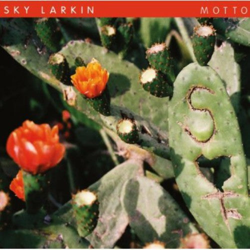 Sky Larkin - Motto