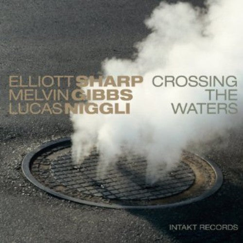Elliott Sharp / Melvin Gibbs / Lucas Niggli - Crossing the Waters
