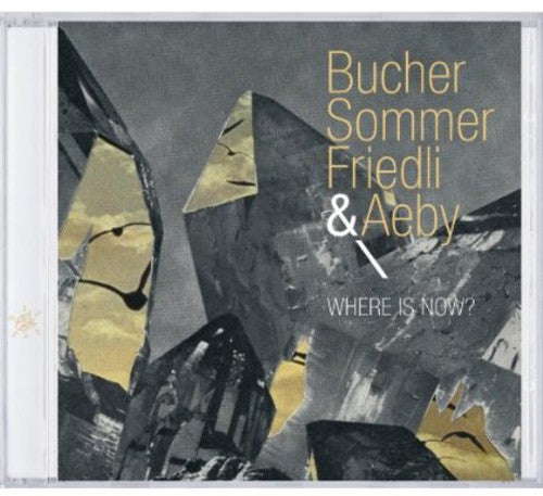 Michael Bucher / Patrick Sommer / Tobias Friedli - Where Is Now